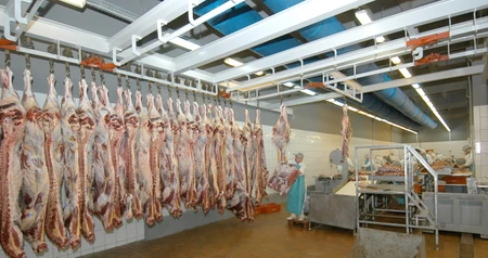 Дезинсекция на мясокомбинате в Домодедово, цены на услуги