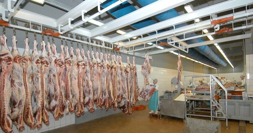 Дезинсекция на мясокомбинате в Домодедово, цены на услуги